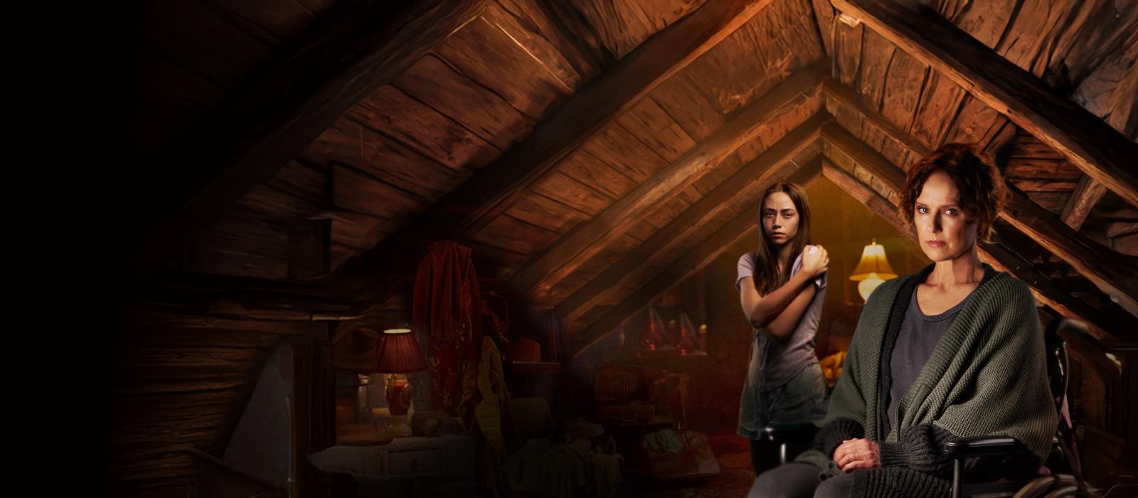 Girl in the Attic