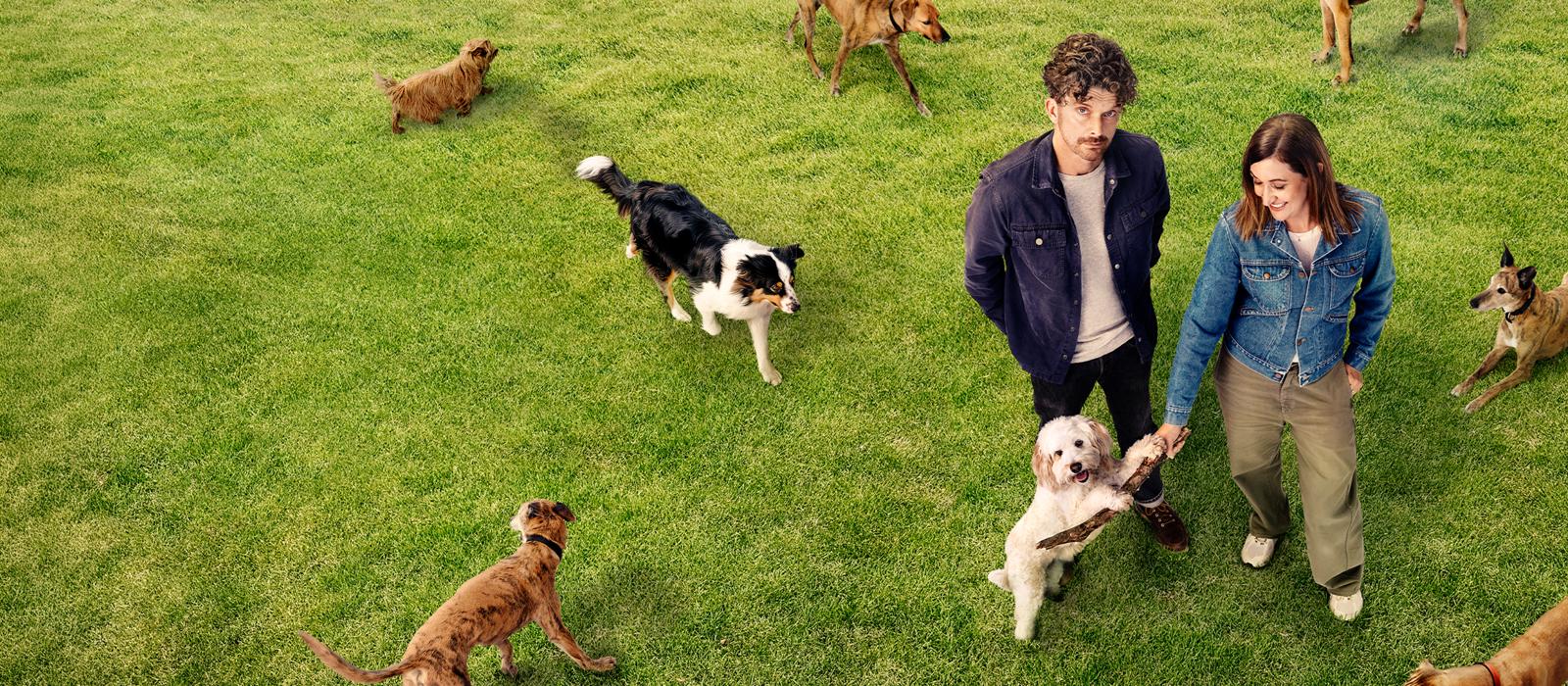 Dog Park