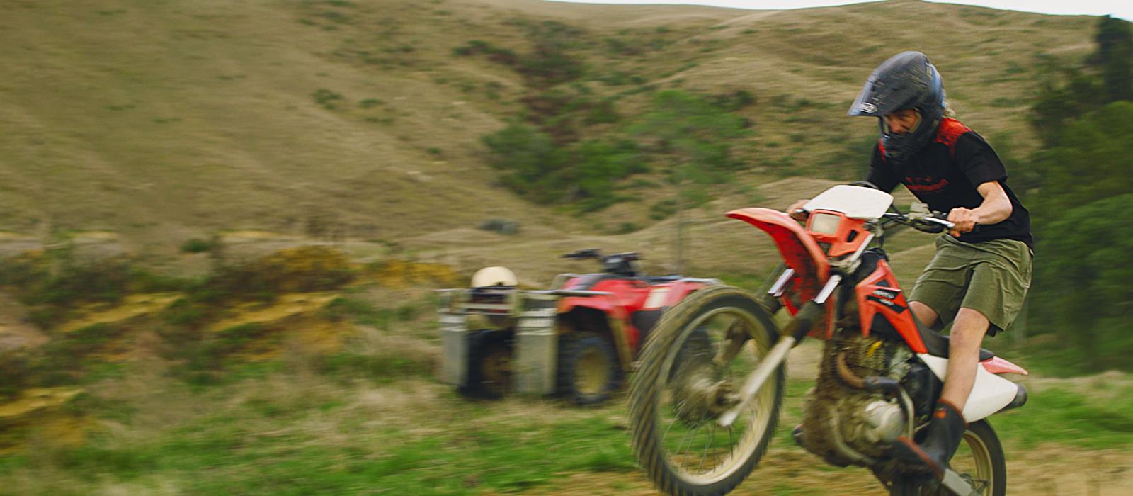 In the Dirt