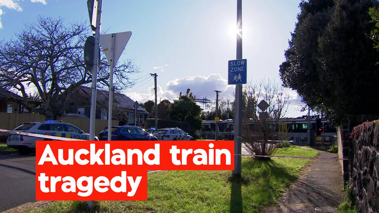 Person dies after being hit by train in Mt Albert