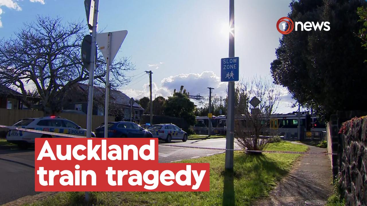 'Devastating': Student dies after being struck by train at Auckland station