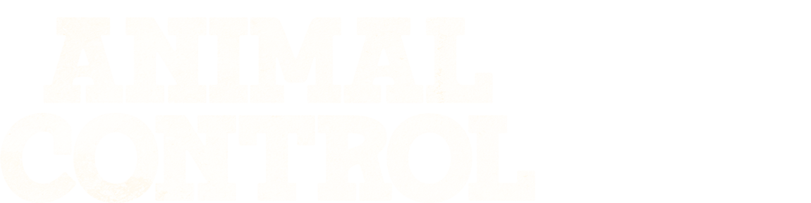 title art