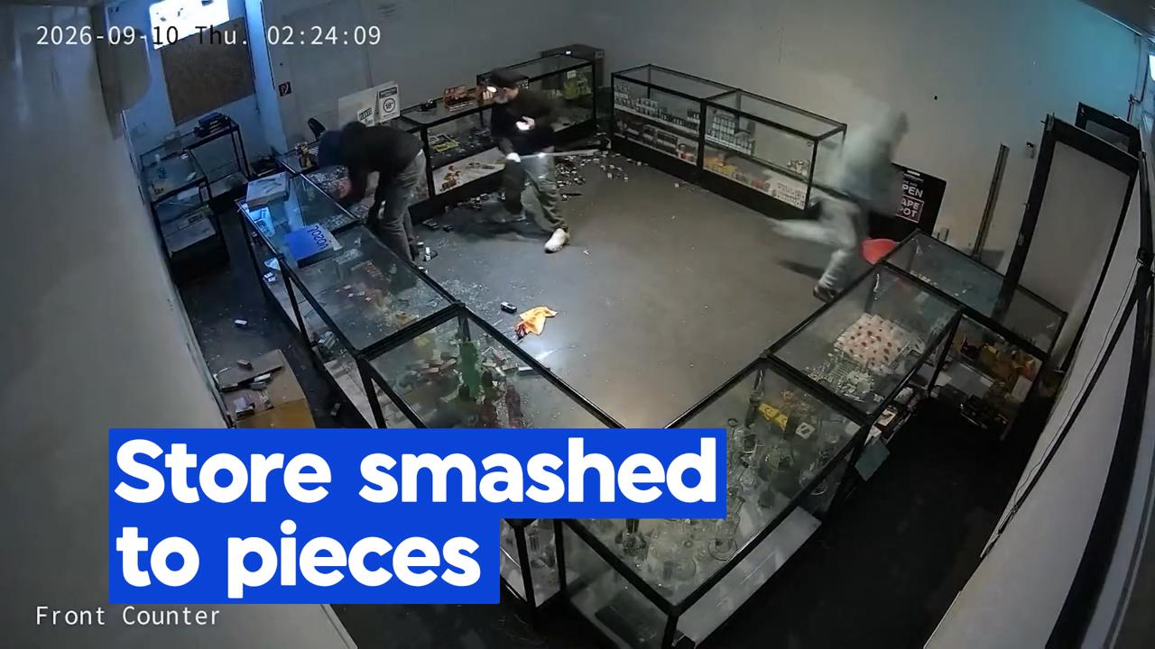 CCTV captures smash-and-grab of Lower Hutt store that had just opened