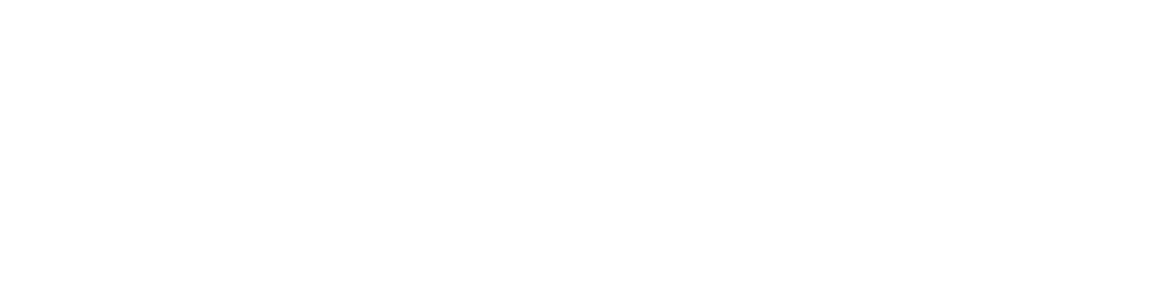 The Party