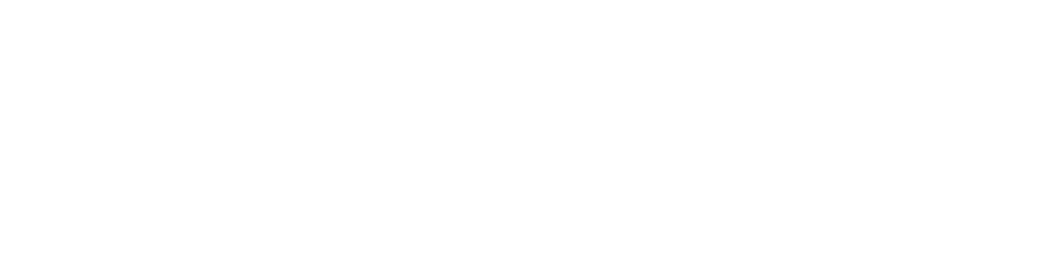 UFC FREEDOM 250