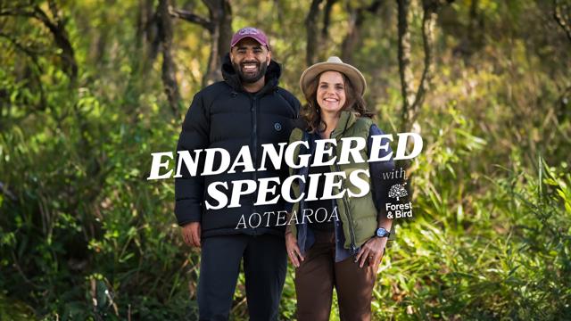 Endangered Species Aotearoa