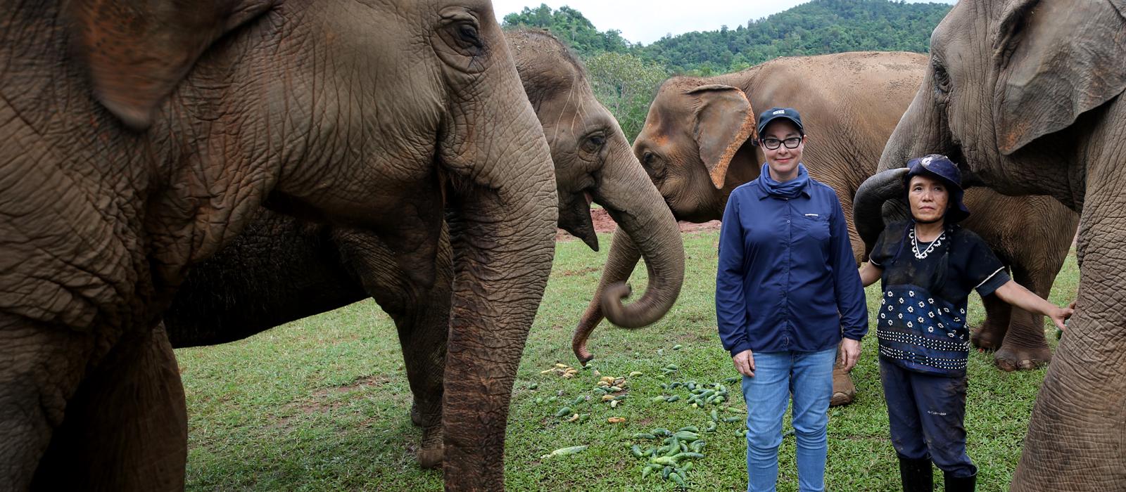 Big Adventures into Thailand with Sue Perkins
