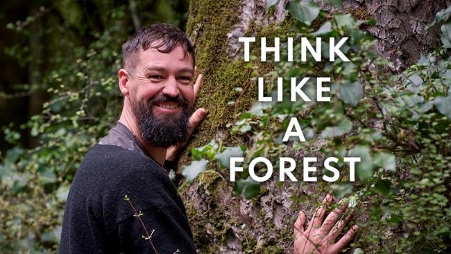 Think Like a  Forest