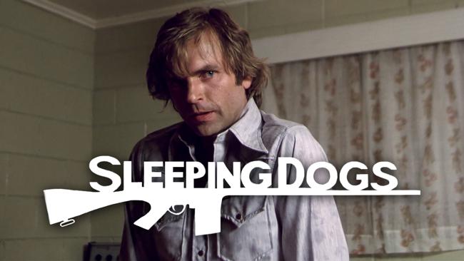 Sleeping Dogs