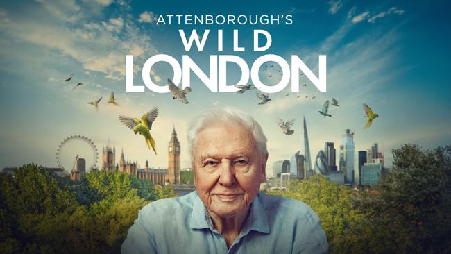 Attenborough's Wild London