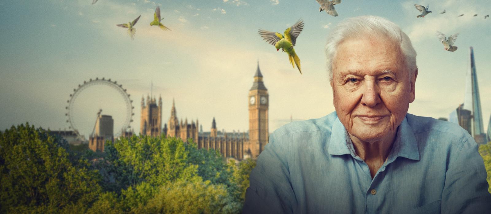 Attenborough's Wild London