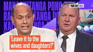 Watch: Shane Jones' comment draws groans as grocery costs debated