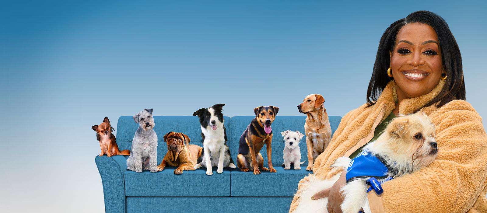 For the Love of Dogs with Alison Hammond