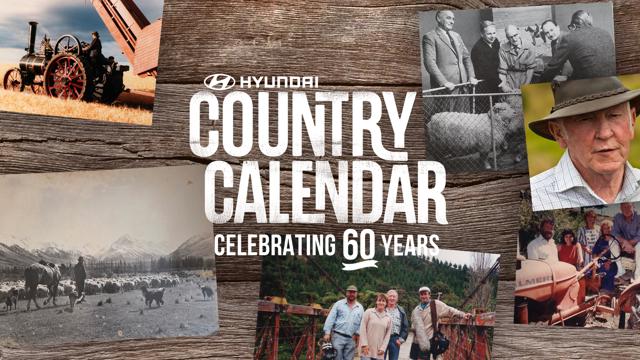 Hyundai Country Calendar: Celebrating 60 Years