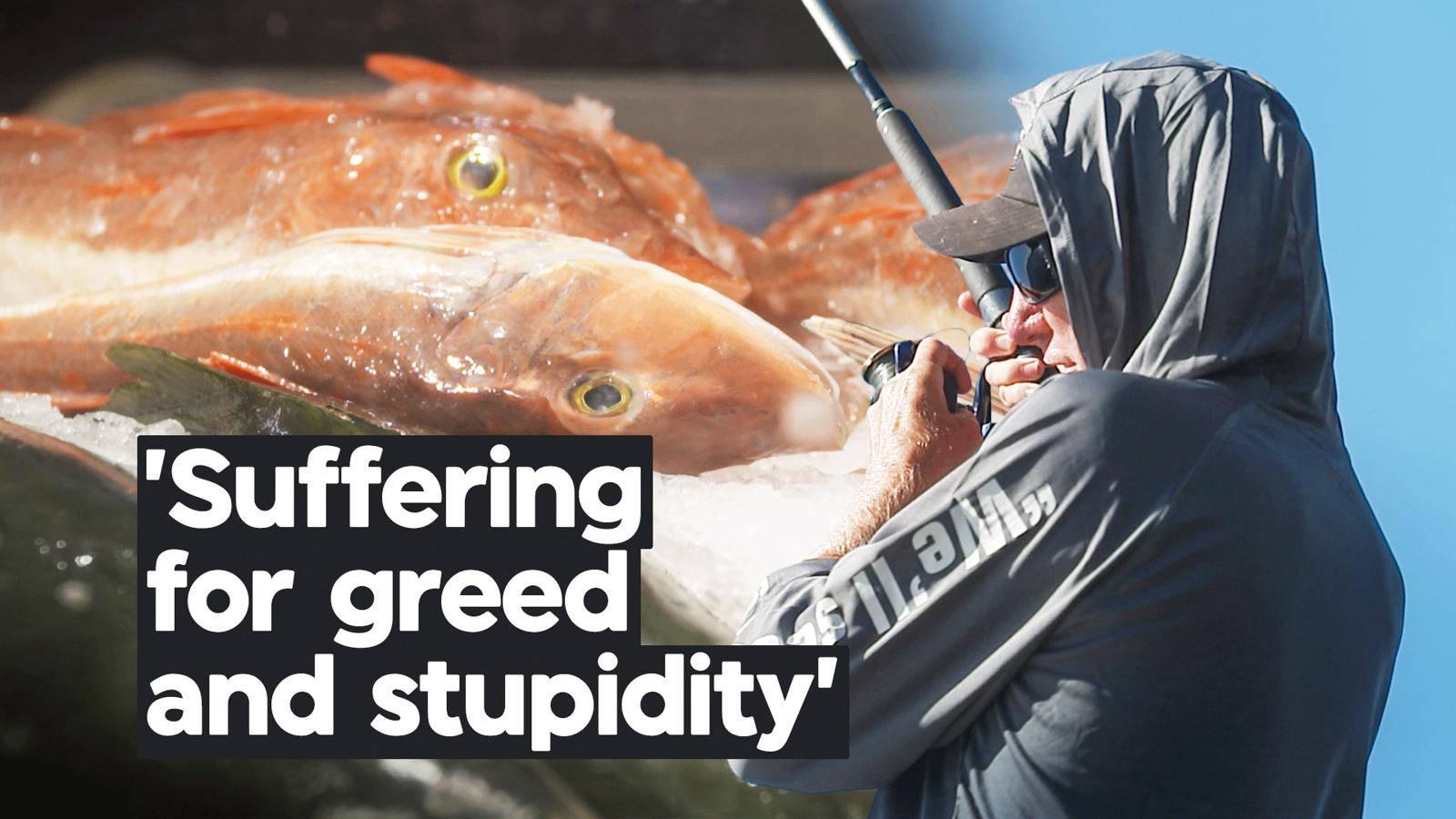 The controversial changes to fishing in NZ waters