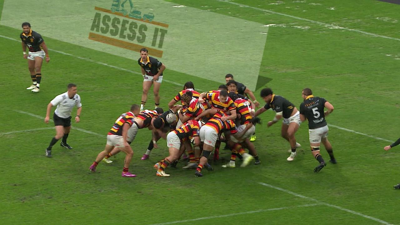 Wellington v Waikato