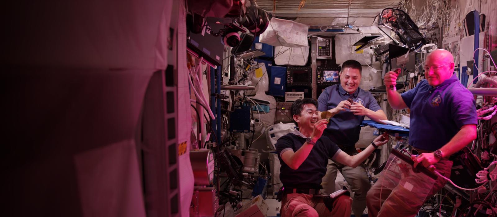 Space Farmers