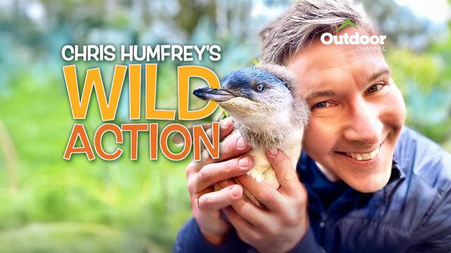 Chris Humfrey's Wild Action