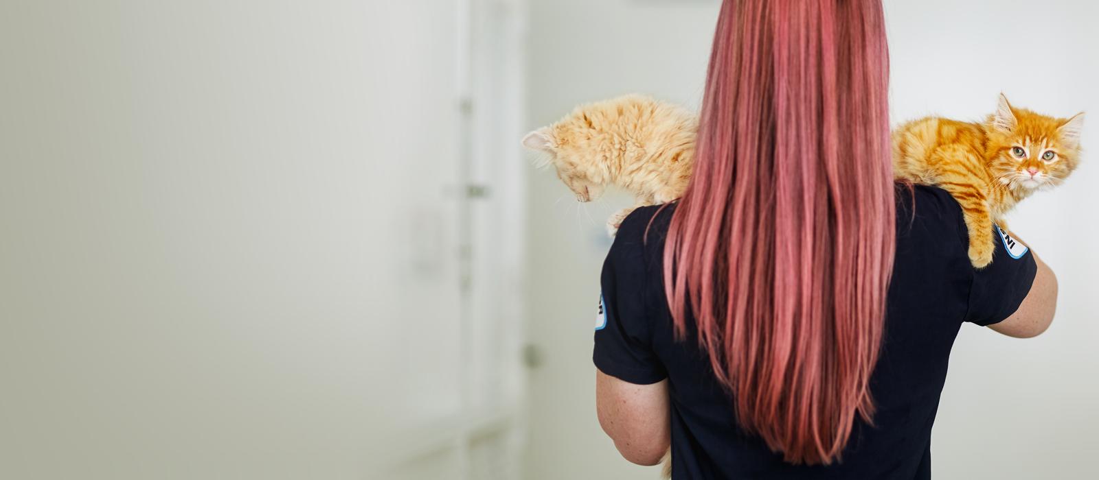 SPCA Rescue