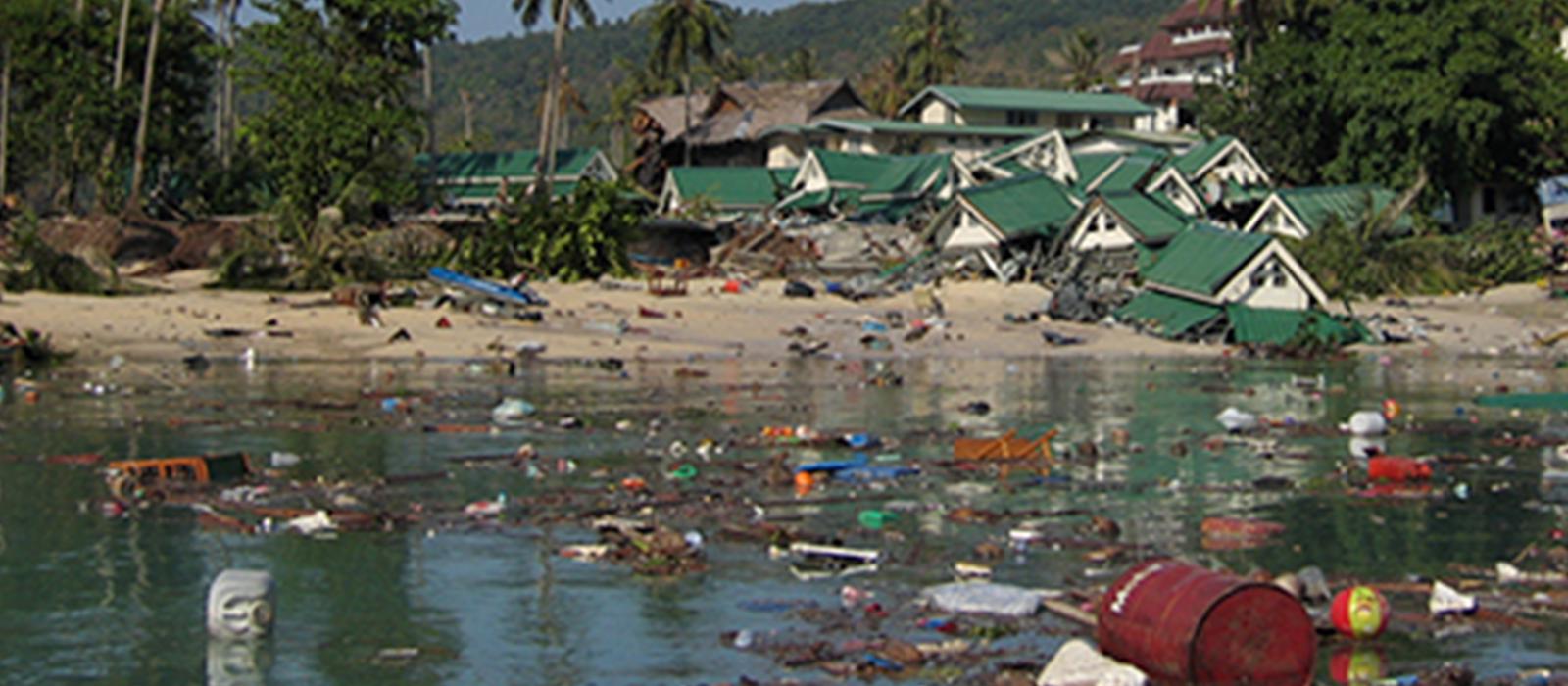 Tsunami 2004: The Day the Wave Hit