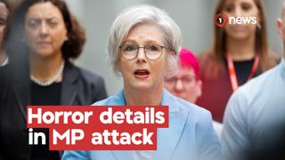 Aus MP loses leg after driver allegedly rammed her, reversed, hit her again