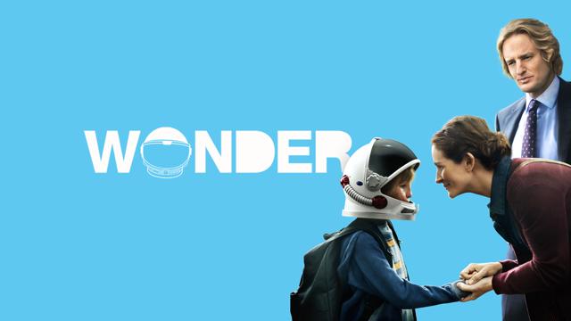 Wonder
