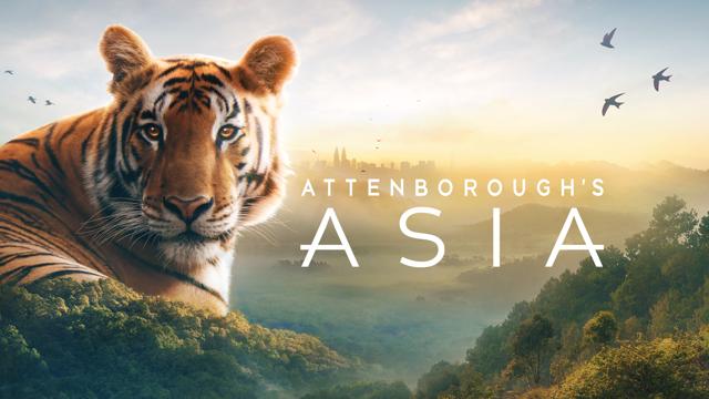 Attenborough's Asia