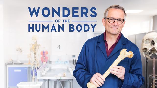 Wonders of the Human Body