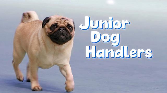 Junior Dog Handlers
