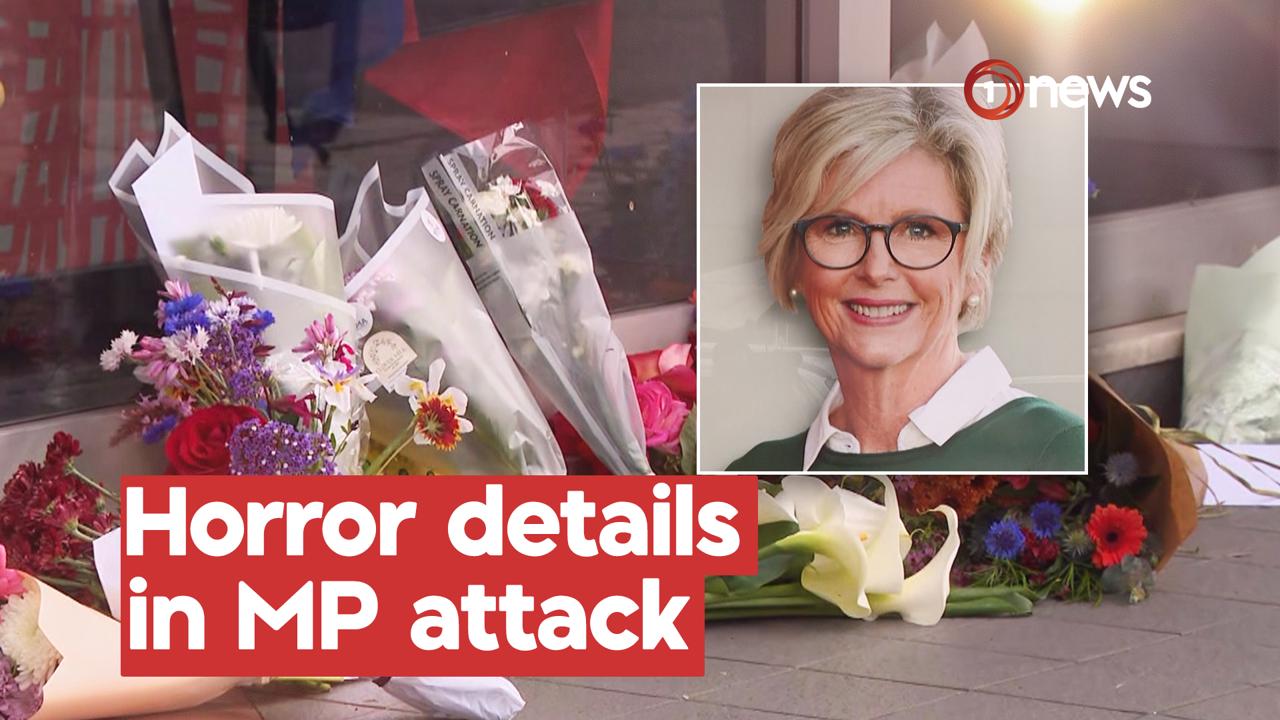 Family link emerges after alleged deliberate attack on Australian MP