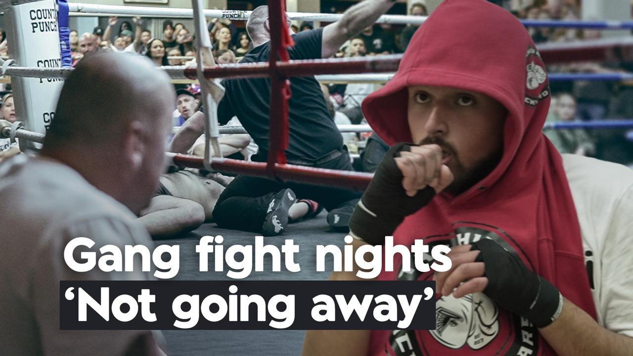 Backyard fights: ‘Dad bod’ fighters, a $50,000 prize, and a govt vowing to act