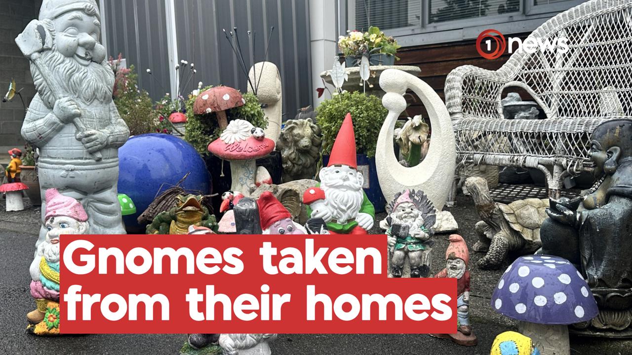 Recognise these guys? The curious case the gnome crime spree