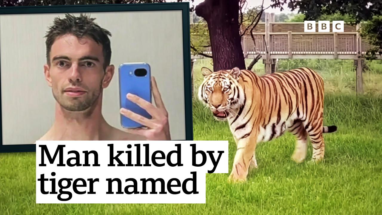 Man killed after entering tiger enclosure named as William Chapman