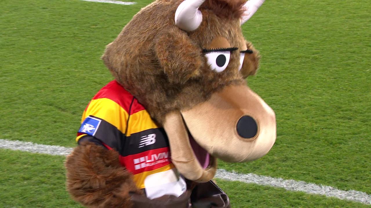 Waikato v Tasman