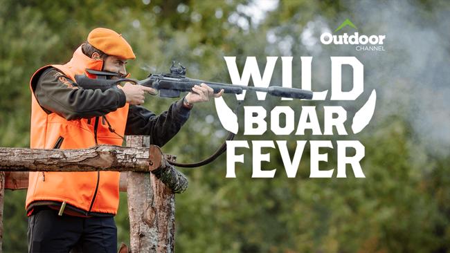 Wild Boar Fever