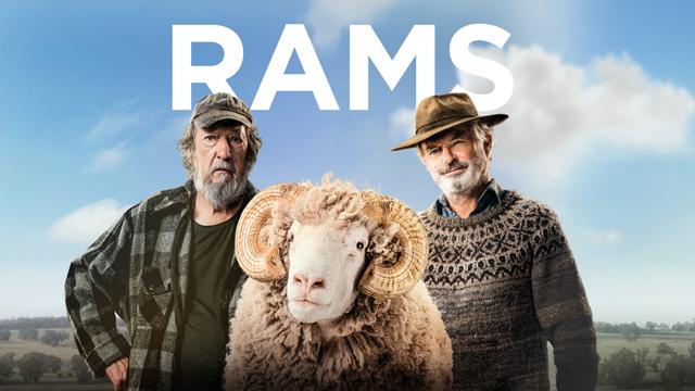 Rams