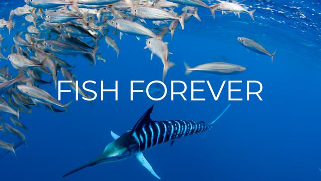 Fish Forever