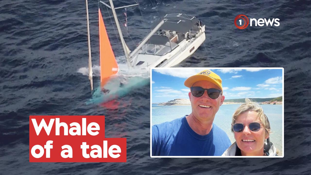 Kiwi sailor describes 17-hour ordeal after whale sinks yacht in Pacific
